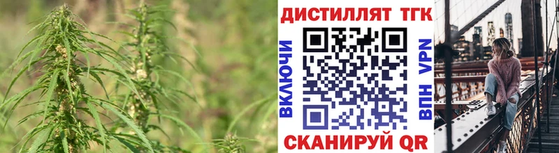 ТГК концентрат Короча